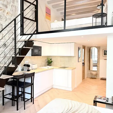 Boheme Elegance Duplex Appartamento Nizza